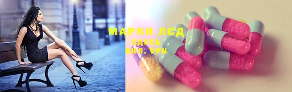 трава Абаза